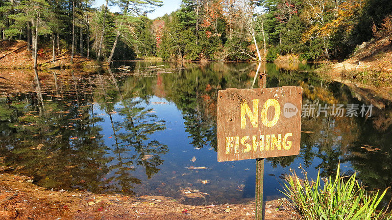 No Fising Sign Posted, Adirondack Pond, Tree Reflection, Fall Shadows,